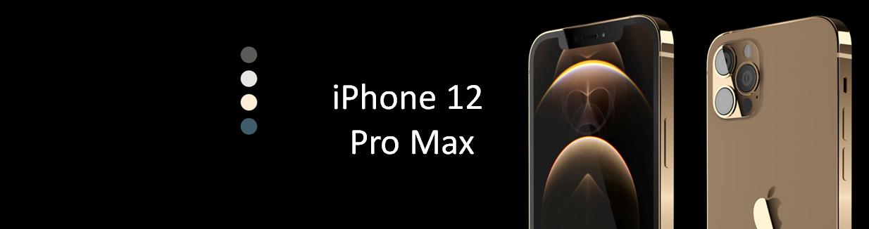 iPhone 12 Pro Max